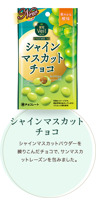 シャインマスカットパウダーを練りこんだチョコで、サンマスカットレーズンを包みました。