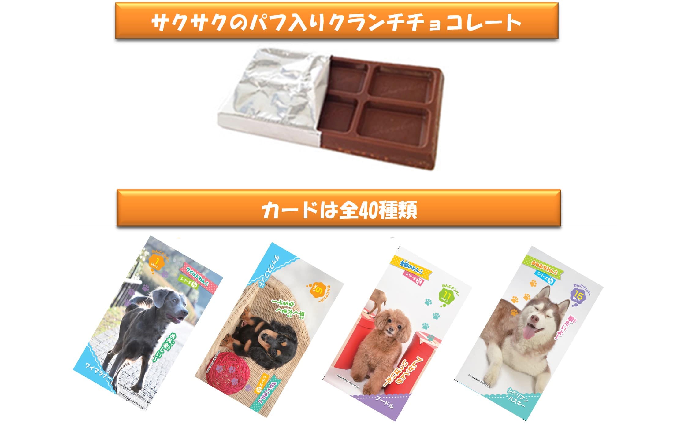 おしゃべりわんこ